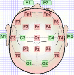 illustration of eeg